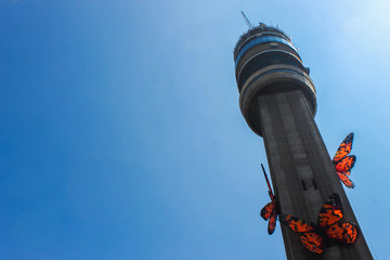 Butterfly on a tower