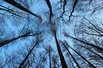 Himmelstst&uuml;rmer