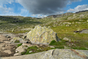 Green mountain tundra landscape, way to Trolltunga, Odda, Norway
