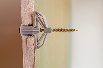 Grey plastic butterfly-type dowel fixed in a pre-drilled hole in a sheet of moisture-resistant...