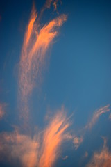 Weather picture with blue and white background and cold weather, sunny day, warm weather and hot weather.