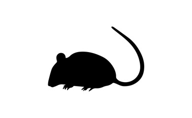 Mouse Silhouette On White Background