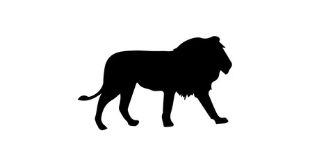 Lion Silhouette On White Background