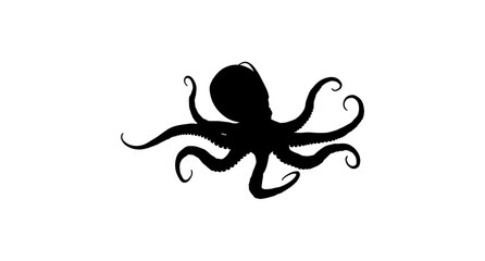 Obraz premium Octopus Silhouette On White Background