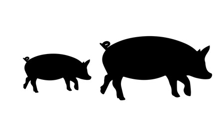 Pig Silhouette On White Background