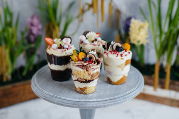 Set of beautiful delicious trifl close - up on the background. Dessert and sweets