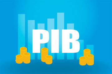Decline and decrease of PIB - failure and breakdown of economy.