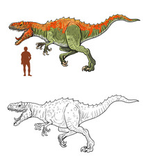 Allosaurus compared to human. Comparison between dinosaur and human. Dino coloring page.