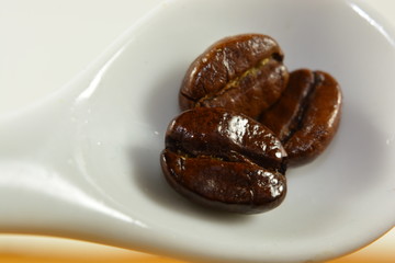 A closeup of a coffee bean in a white cup