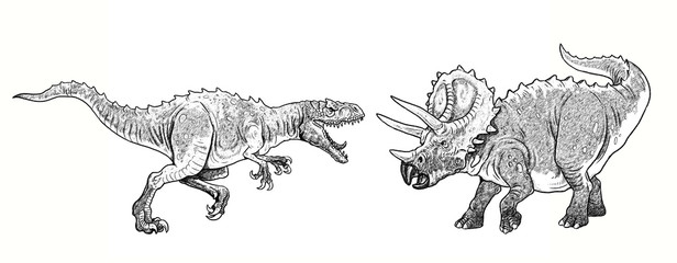 Dinosaurs fight. Allosaurus against Triceratops. Dino fight isolated illustration.  © Lunstream