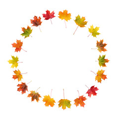 frame of maple autumn leaves isolated on white background with clipping path.