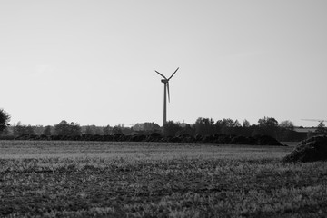 wind turbines farm