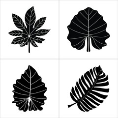Fototapeta premium Tropic leaves Palm vector Black leaf isolated object Jungle silhouette