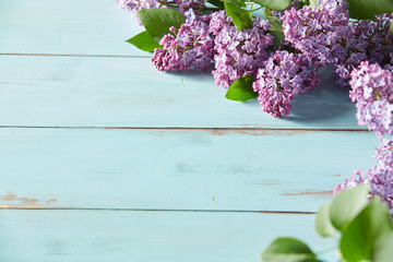 Decorative spring background with purple lilac