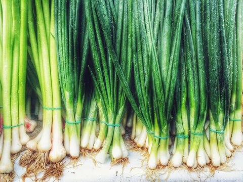 High Angle View Of Wet Scallions For Sale At Market