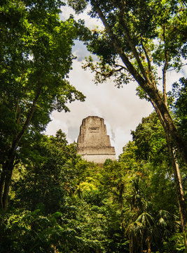 Mayan ruins at Tikal National Park, Guatemala, Central America
