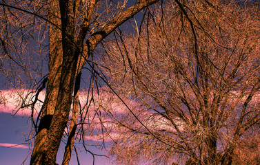 Fototapeta premium Sunsetshadows