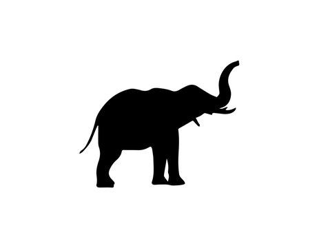 Elephant Silhouette On White Background