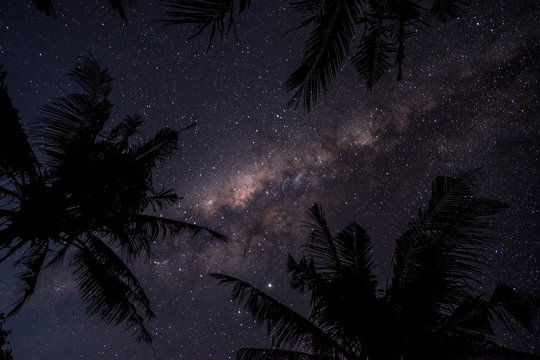 Bright magical Milky Way galaxy and stars through palm trees at the beach camping spot at night in Sumbawa