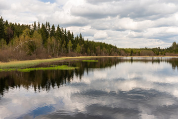 Fototapeta na wymiar Rubner Teich am Tannermoor