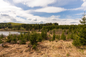 Moorlandschaft am Rubner Teich im Tannermoor