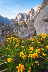primavera en los Picos de Europa