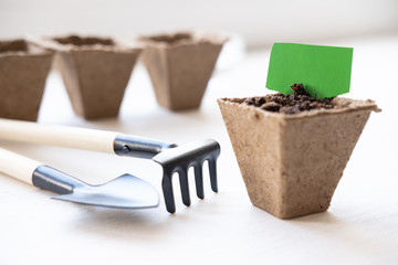 peat pot with empty label mock up. How to growing food at home on windowsill. Tools for seedlings and home gardening