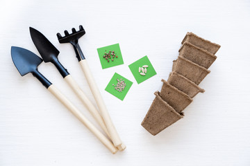 Gardening at home. Growing food on windowsill. Tools, seeds, peat pots and pressed ground for...