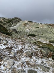 stream in the mountains