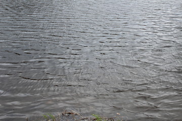 water drops on the water