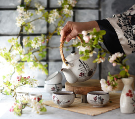 Chinese tea with fresh cherry blossoms. Japanese tea ceremony.  Traditional chinese tea ceremony. Teapot and cups on  table. Asia style stil life.