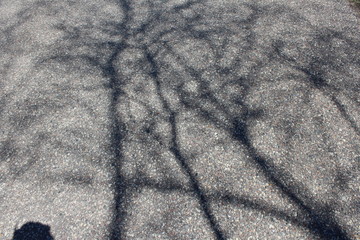 gray woolen fabric texture