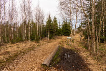 Moor Wanderweg