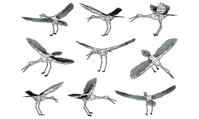 Stork bird polygonal lines illustration. Abstract vector bird on the white background