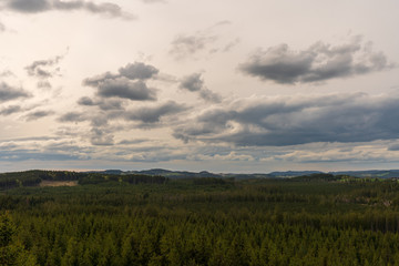 Blick über das Tannermoor
