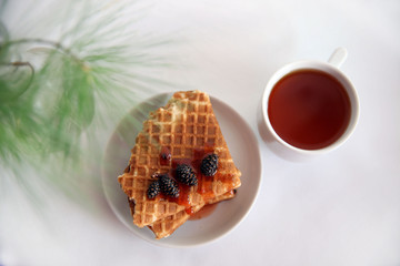 waffles with jam on a white saucer, a Cup of tea on the table and a glass vase with a pine branch