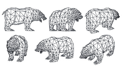 Bear polygonal lines illustration. Abstract vector bear on the white background