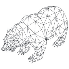 Bear polygonal lines illustration. Abstract vector bear on the white background
