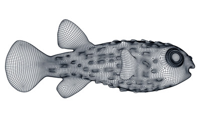 Puffer fish polygonal lines illustration. Abstract vector fish on the white background © kurtcan
