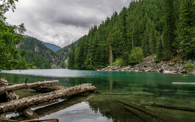 Beautiful mountain Lindeman lake with fallen trees green forest and cloudy sky british columbia canada.