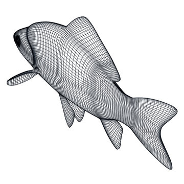 recommend clip art: Crucian fish polygonal lines illustration. Abstract vector fish on the white background