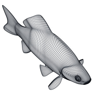 recommend clip art: Crucian fish polygonal lines illustration. Abstract vector fish on the white background