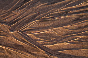 Patterns in the sand in golden light
