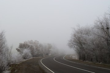 Road on a winter frosty foggy day