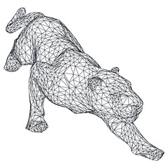 Attack leopard lines illustration. Abstract vector leopard on the white background