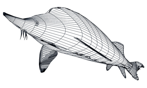 wireframe sturgeon fish, black lines, white background clip art preview