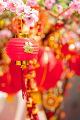Chinese new year background. Decoration chinese style