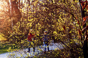Two older people walking in the rays of the setting sun with young leaves blossoming on the foreground