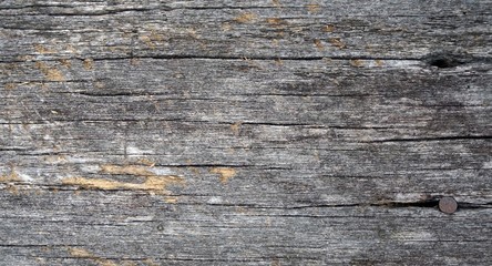 details of wooden texture background
