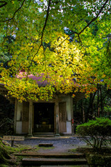 Fototapeta premium 金勝寺